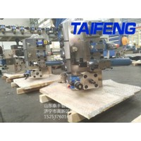 山东泰丰智能供应200T折弯机用插装阀WC67Y-200TFCV