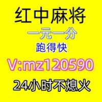 广东正规红中麻将群一元一分全网